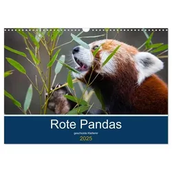 Rote Pandas - geschickte Kletterer (Wandkalender 2025 DIN A3 quer), CALVENDO Monatskalender