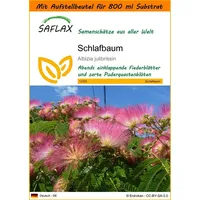 SAFLAX - Garden in the Bag - Schlafbaum -