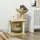 PawHut Kratzbaum Klein 74 x 45 x 40 cm beige