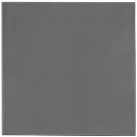 Thermal Grizzly Minus Pad Extreme V2 - 100x 100x 1.0mm Wärmeleitpads - grau