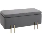 HOMCOM Sitzbank mit Stauraum Polsterbank mit Samtoptik, Sitztruhe mit Metallbeine, Truhenbank für Wohnzimmer Schlafzimmer Flur 100 x 40 x 42 cm, Dunkelgrau
