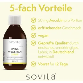 Sovita Spitzwegerich Sirup 250 ml