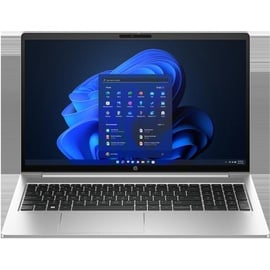 HP ProBook 450 G10 Pike Silver, Core i7-1355U, 16GB RAM, 1TB SSD, DE (854L8ES#ABD)