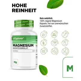 Vit4ever Magnesium Malat Kapseln 365 St.