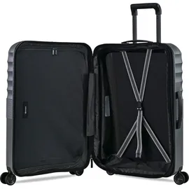 Eminent Dandelion 4-Rollen 61 cm / 66 l grau