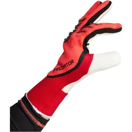 adidas Predator Pro Torwarthandschuhe - Lucid Red / Black / Pure Ruby 6