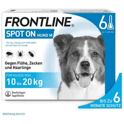 Frontline Spot on H 20 Lösung f.Hunde 6 St