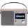 Albrecht DR862 Braun/Silber