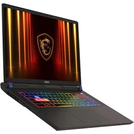 MSI Vector 17 HX A2XWHG-041 Intel Core Ultra 9 275HX 32 GB RAM 2 TB SSD RTX 5070 Ti