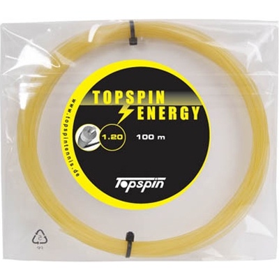 Topspin Energy 12m