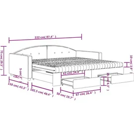 vidaXL Tagesbett Ausziehbar mit Schubladen Schwarz 100x200 cm Samt
