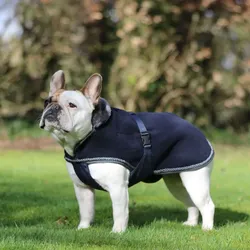 Bucas Show-Line Dog Rug, 60