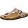 CMP Mymosa Deserto 41