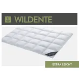 Spessarttraum Wildente warm, 100% Daunen