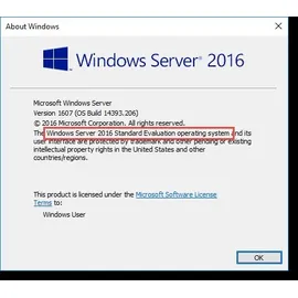 Microsoft Windows Server 2016 Standard 64-Bit ESD DE