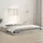vidaXL Massivholzbett 180 x 200 cm Braun