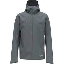 Mammut Herren Crater Light HS Jacke (Größe M, grau)