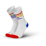 Incylence Running Pride V5 Laufsocken 39-42 grau/weiß
