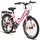 Licorne Bike Stella Premium City Bike 20,24,26 und 28 Zoll Fahrrad für Mädchen Herren und Damen 21 Gang (6 Gang bei 20 Zoll) Holland Citybike Rosa