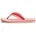 Ornamental Red/Porcelain Pink 39