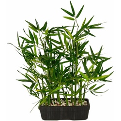 Kunstpflanze Bambus Bambus, I.GE.A., Höhe 41 cm grün