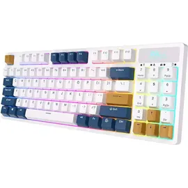 Royal Kludge RK89 Lemon Switch DE