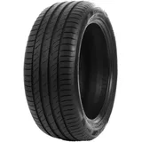 Delinte DS2 225/65 R17 102H