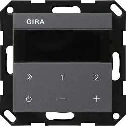GIRA UP-Radio IP 232028