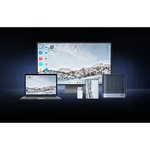 MINISFORUM MINI-PC Minis Forum NAS N5 AMD Ryzen 7 H255, 16 GB + 128 GB Betriebssystemspeicher