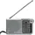 Panasonic RF-P150D