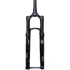 Fox Racing Shox 34 SL Performance Elite 29 Zoll 120 mm 2026 Schwarz