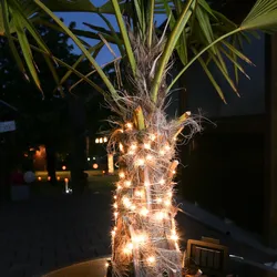 LED Solar Drahtlichterkette - 50 warmweiße LED - Blinkfunktion - L: 4,9m - Dämme...