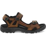 ECCO Herren Yucatan Plus W Sandal, Sierra, 43