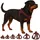 Karlie Hundegeschirr - hundegeschirr große Hunde - XXL - Flamingo Step&Go Bento Aubergine