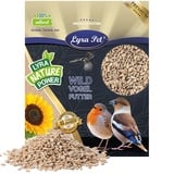 Lyra Pet® | 25 kg Sonnenblumenkerne Geschält | Vogelfutter für das Ganze Jahr | Premium Wildvogelfutter | Idealer Energiespender für Sommer und Winter | Vogelstreufutter für Wildvögel | Ohne Schale