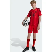 Adidas FC Bayern München 24/25 Heimshorts Kids Red 140