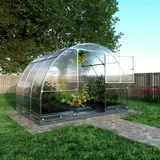 meistro kodas Klasika Gewächshaus verzinkt Transparent HKP 6 mm 6 m2
