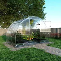 meistro kodas Klasika Gewächshaus verzinkt Transparent HKP 6 mm 6 m2