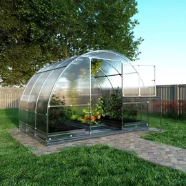 meistro kodas Klasika Gewächshaus verzinkt Transparent HKP 6 mm 6 m2