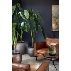 Hohe Kunstpflanze - Alocasia Calidora - Elefantenohr