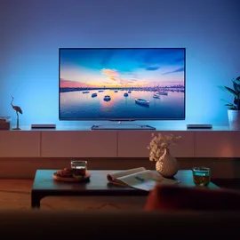 Philips Hue White & Color Ambiance Play weiß