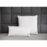 Jekatex 3-Kammer Daunenkopfkissen DOPPELPACK 80x80cm, Jekatex - weiß