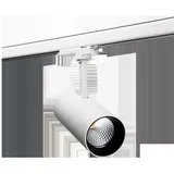 SG-Leuchten Tube Eco 3-Phasig 2 Leuchtmittel weiß