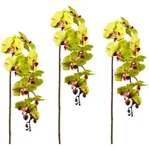 Creativ green Kunstpflanze CREATIV GREEN, grün, H:98cm, Kunststoff, Polyester, Kunstpflanzen, Kunstpflanze, 3er Set