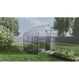 klasika greenhouses Standart KLASIKA Gewächshaus 5m2, 2,5m x 2m mit 6 mm Polycarbonatabdeckung & 1 Dachfenster