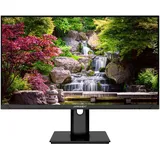 JAPANNEXT JN-IPS2382FHDR-HSP 23,8" schwarz