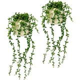 I.GE.A. Kunstpflanze »Senecio im Topf 2er Set künstlich Pflanze Hängepflanze Kunstblume«, grün