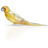 Swarovski Jungle Beats Gelbbauchsittich Lechee | OS