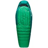 Sea to Summit Ascent -1C Down Schlafsack - Green - Normal