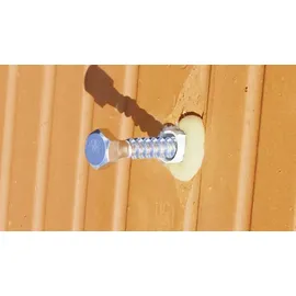 Beko Konstruktionskleber Allcon 10 150 ml